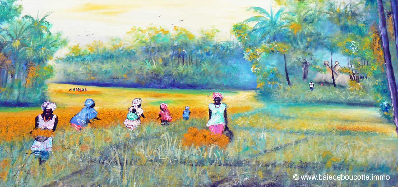 la région de casamance est magnifique la nature comblera tous les visiteurs ces paysages uniques au bord de l'océan vous attendent arvimedia