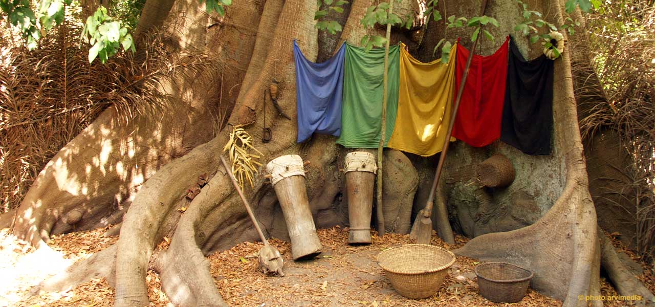 la culture diola est riche en histoire et en traditions, venez découvrir la Casamance pays de la Téranga